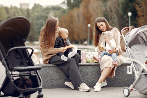 From Twins to Toddlers: Essential Double Stroller Choices for Your Growing FamilyCar Rack Insights Included